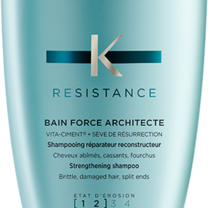 Resistance Bain Force Architecte, 500 ml